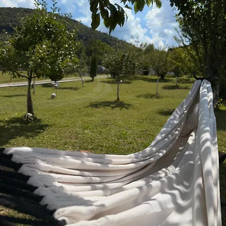 Vakantiehuis Forest Dream